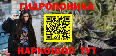 крисы Ивантеевка